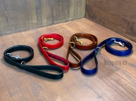 leather dog lead
