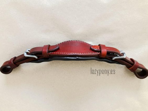 anatomic hackamore