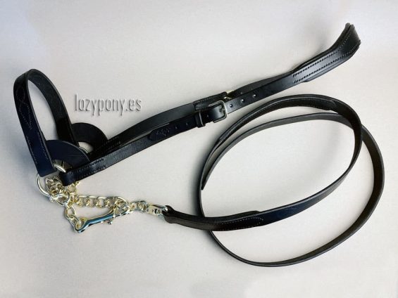 Show halter with embroidery Lazypony - Image 1
