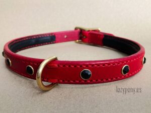 collar flower for small dogs