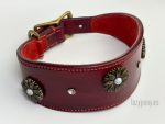 wide dog collar