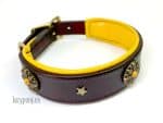 dog collar with conchos