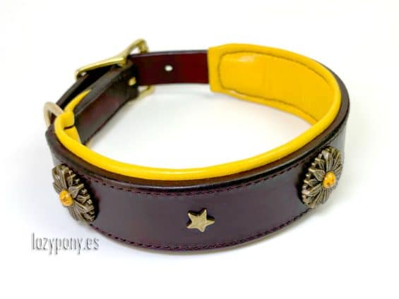 dog collar with conchos