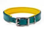 turquoise leather dog collar