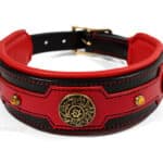 wide leather dog collar