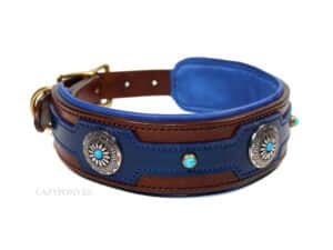 blue and brown wide leather collar Lazypony