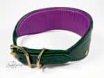 Green leather hound dog collar Lazypony with purple padding