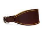 Leather plain greyhound collar Lazypony