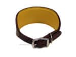 Custom yellow greyhound collar Lazypony