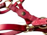 Red horse halter Lazypony