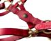 Red horse halter Lazypony