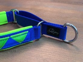 Martingale сollar Lime