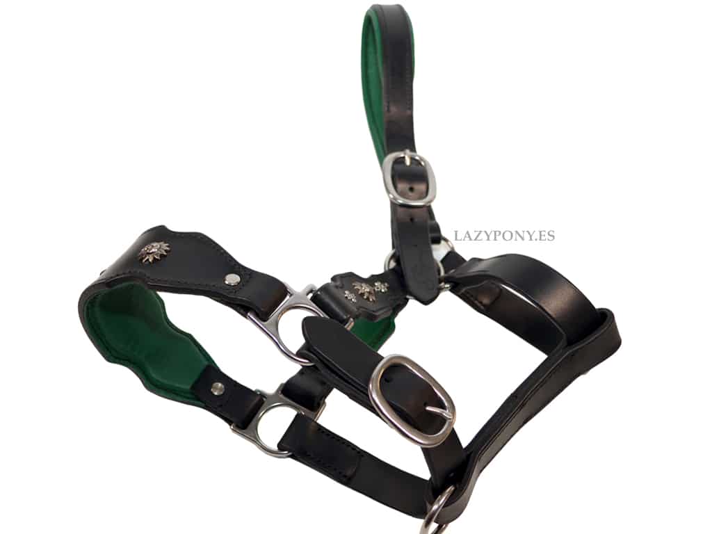 Baroque horse halter with conchos Lazypony