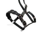 Black Baroque horse halter Lazypony