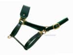 Green Leather Horse Halter Lazypony