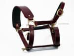 Padded Horse Headcollar with Wide Noseband Lazypony