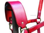 Red leather horse halter Lazypony