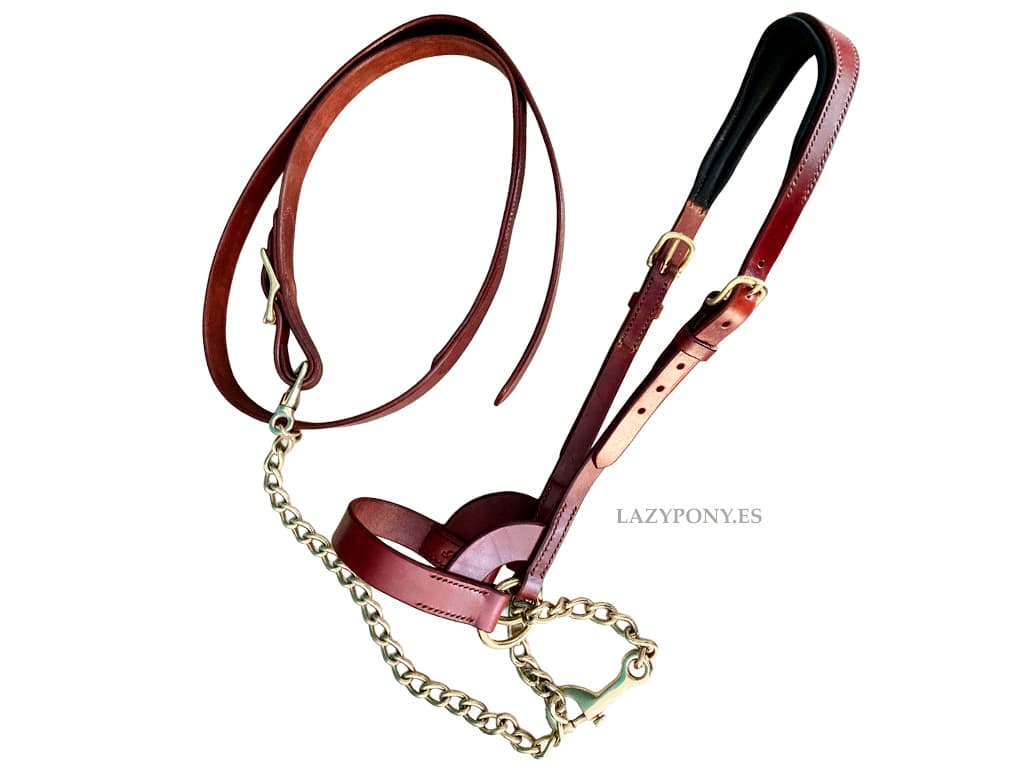 2527 leather show horse halter with chain lead LAZYPONY
