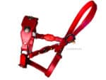 Baroque horse halter Lazypony