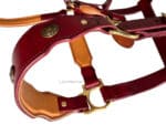brass Baroque horse halter Lazypony