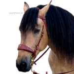 custom Baroque leather bridle Lazypony
