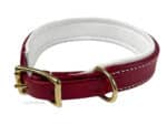 Padded Leather Dog Collar Dublin Lazypony with Name Tag