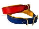 Leather Custom Collar with Name Tag