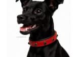 red leather collar for small dogs with name tag