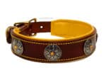 Personalized Leather Collar with conchos Lazypony