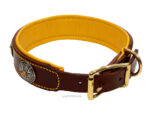 Big Dog Collar with Conchos and Name Tag Lazypony