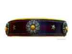 Personalized Slip On Collar with Name Tag