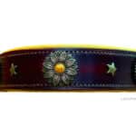 Personalized Slip On Collar with Name Tag