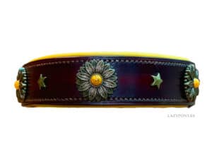 Personalized Slip On Collar with Name Tag