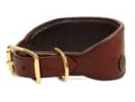 leather greyhound collar with name Lazypony