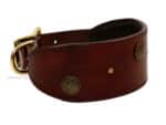 leather hound collar with name tag Lazypony