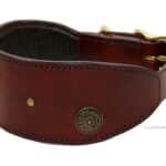 leather greyhound collar with name tag Lazypony