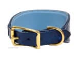 padded greyhound leather collar with name tag