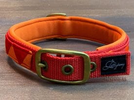 Collar Papaya