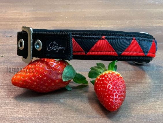 Collar Red Berries