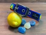 Collar Lemon