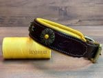Brown collar with conchos