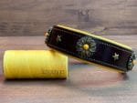 dog collar with conchos