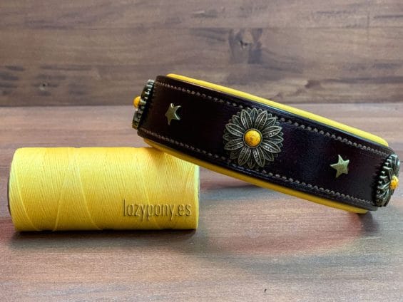 dog collar with conchos