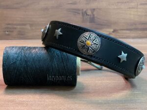 Black collar with conchos