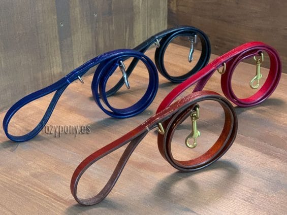 leather dog lead