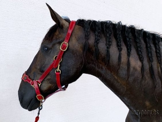 noseband