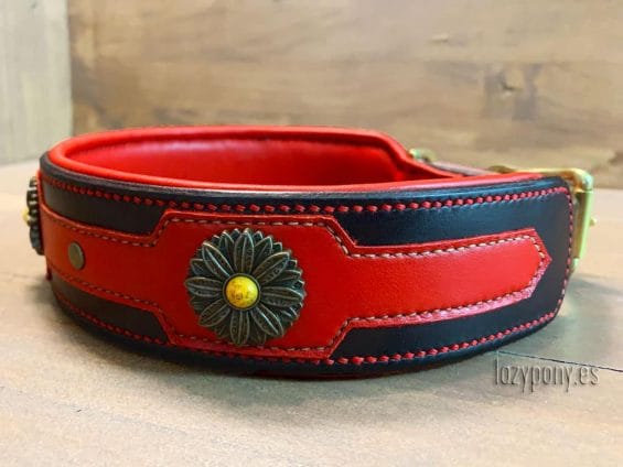 leather dog collar