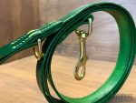 dog leash