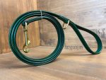 dog leash