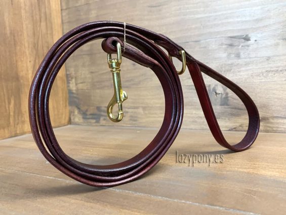 dog leash